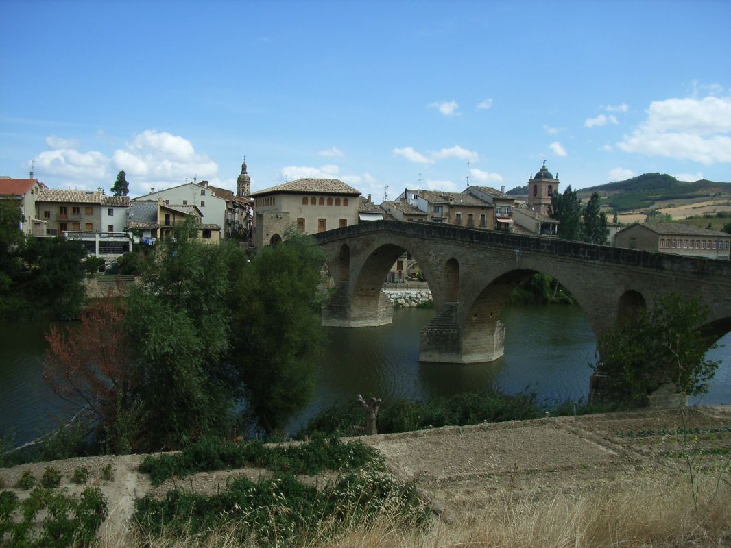 RIMG0241.jpg