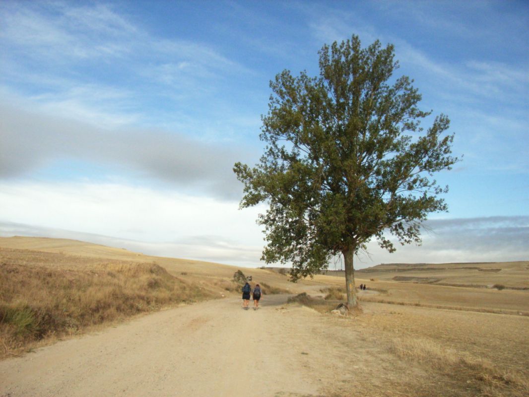 RIMG0645