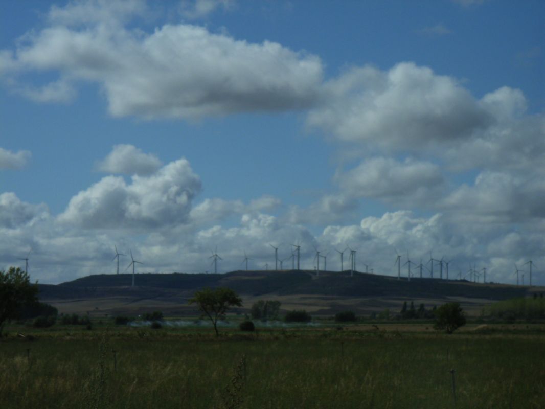 RIMG0743