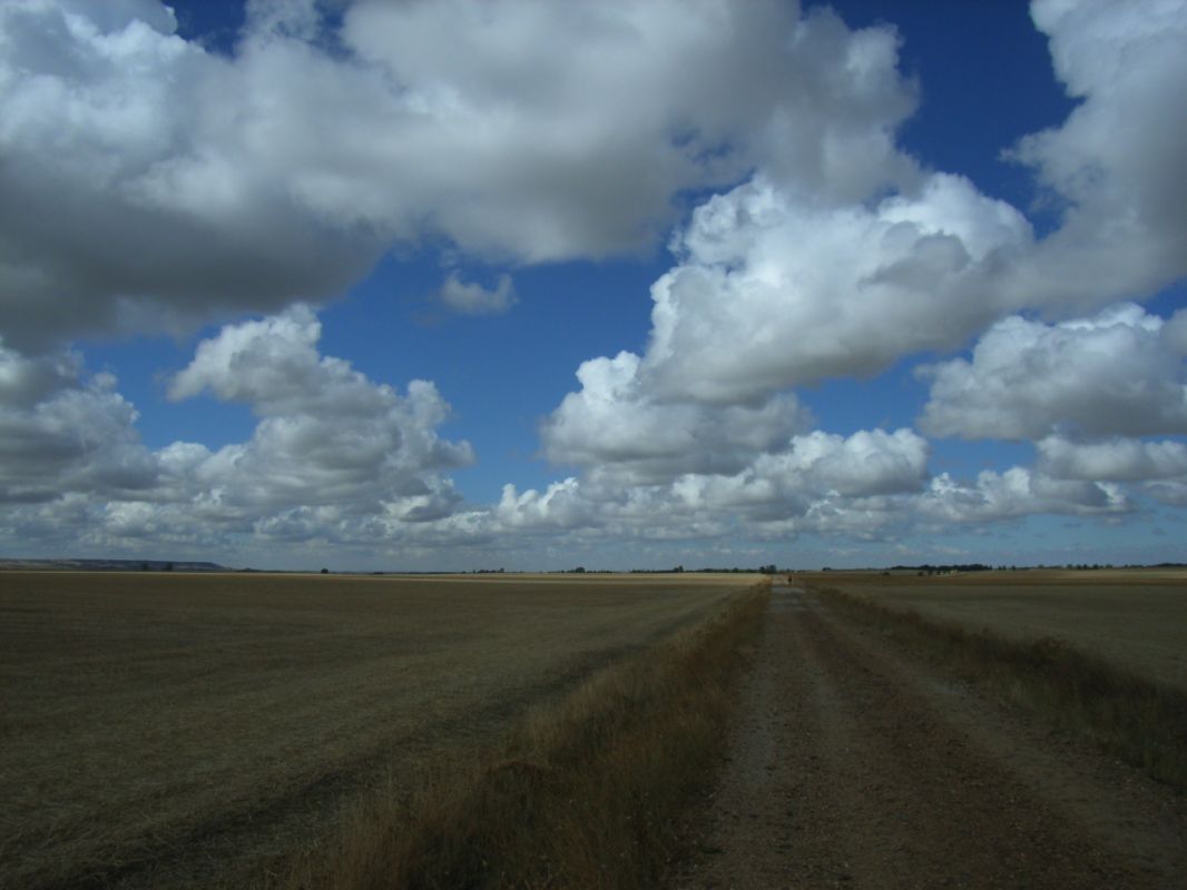 RIMG0749