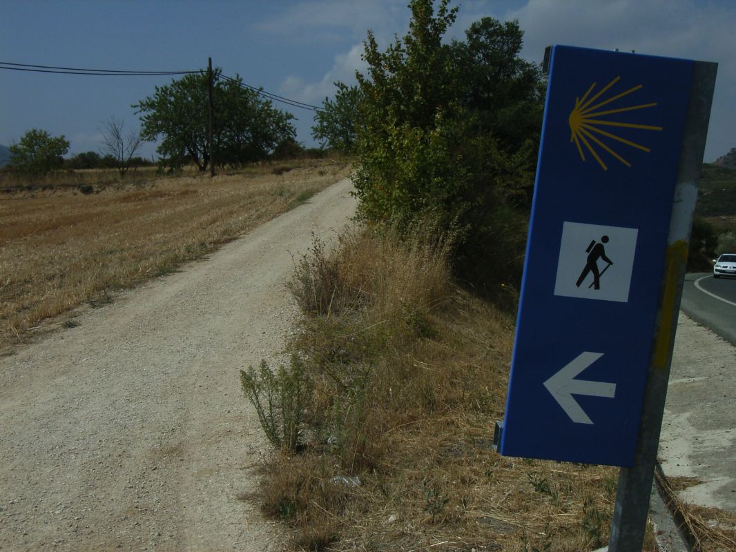 RIMG0314.jpg
