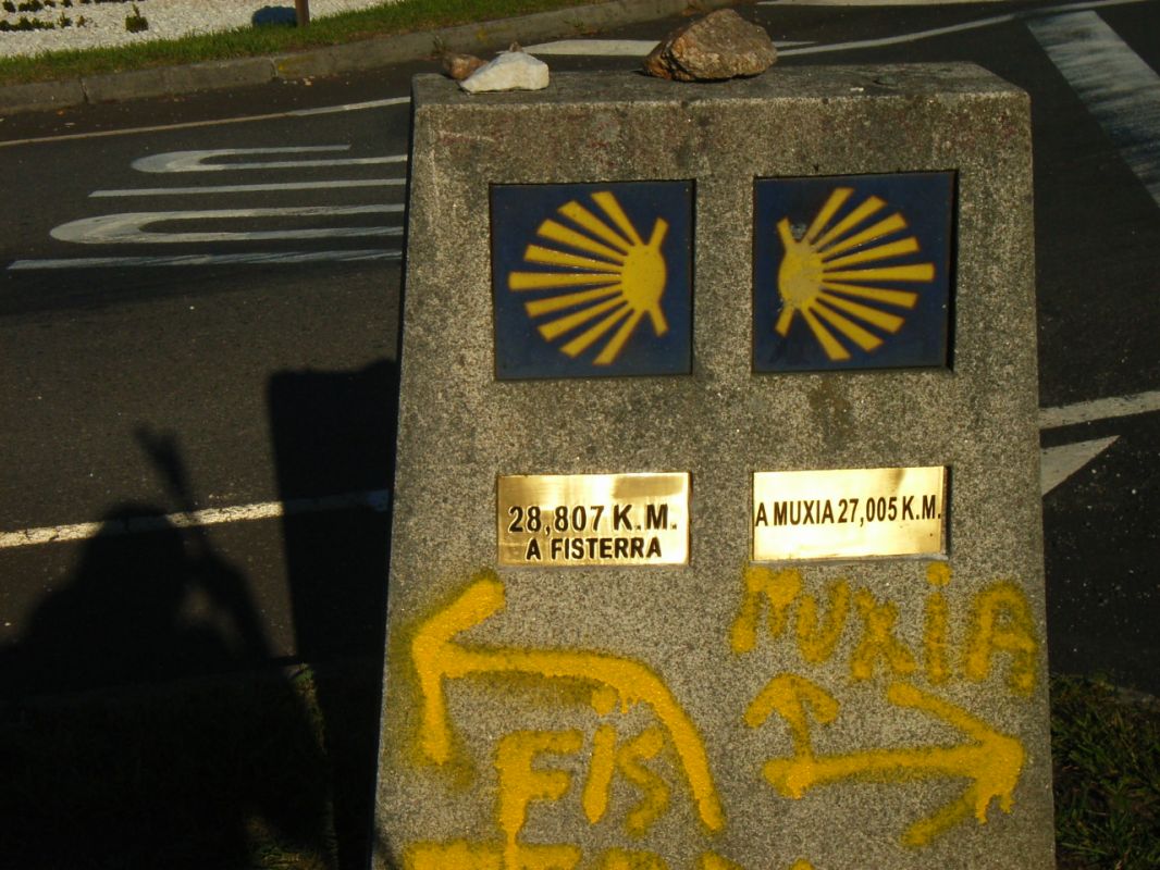 RIMG1061