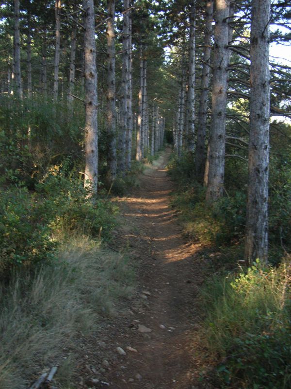 RIMG0355.jpg
