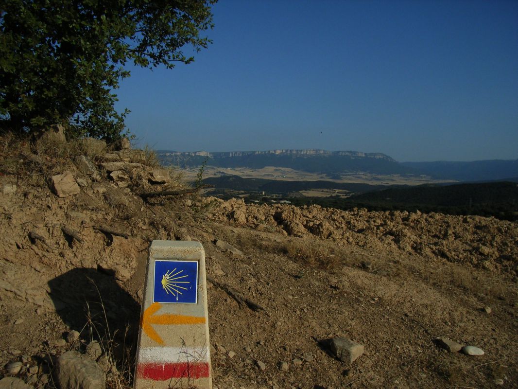 RIMG0357.jpg