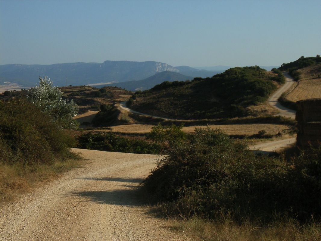RIMG0358.jpg