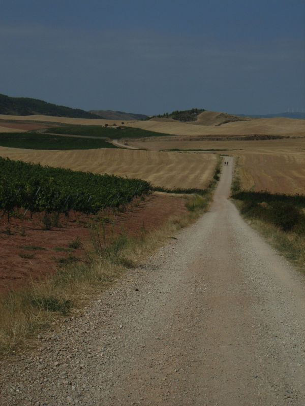 RIMG0363.jpg