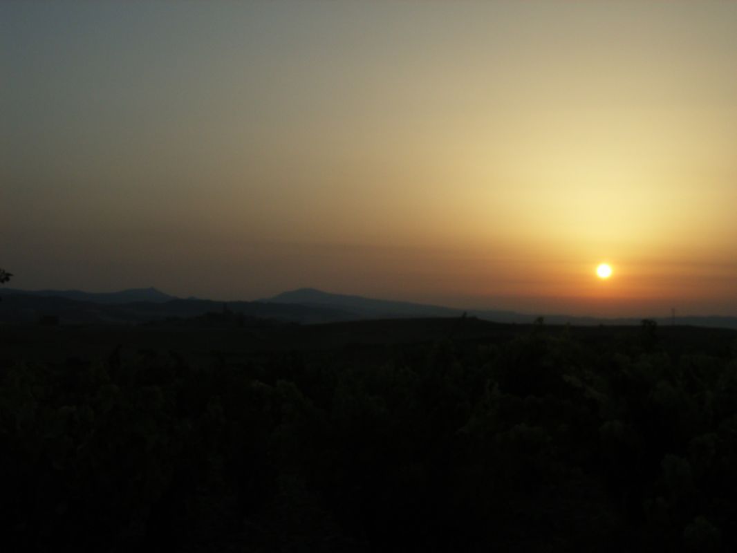 RIMG0375.jpg