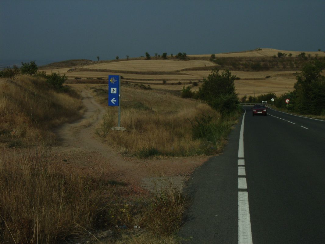 RIMG0382.jpg