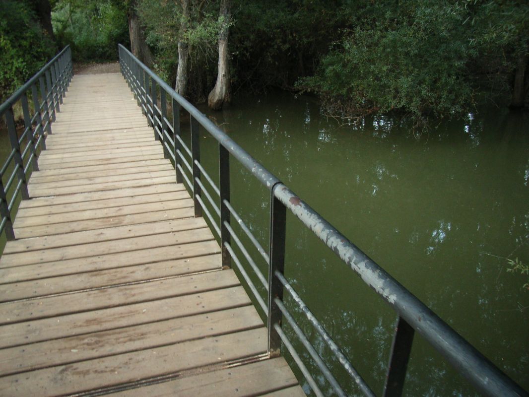 RIMG0426.jpg