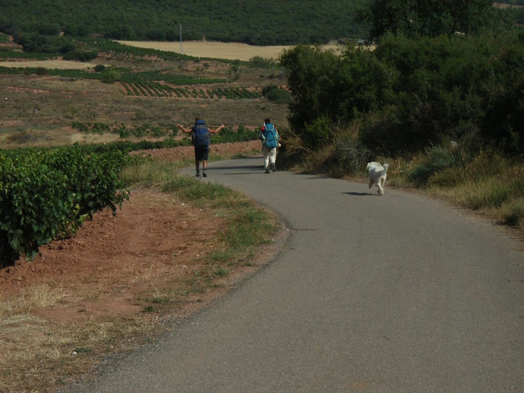RIMG0438.jpg