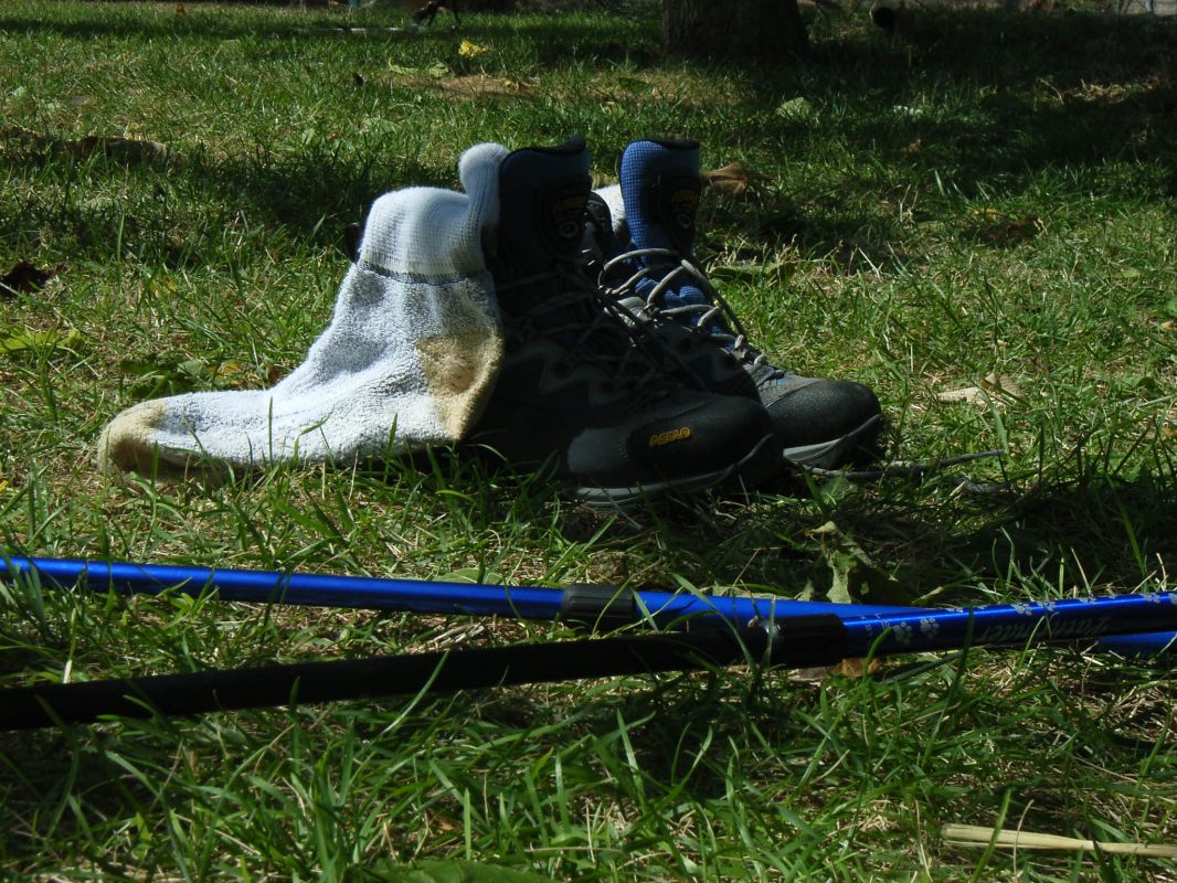 RIMG0447.jpg