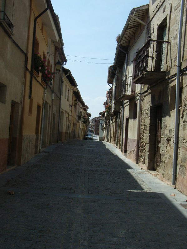 RIMG0486.jpg
