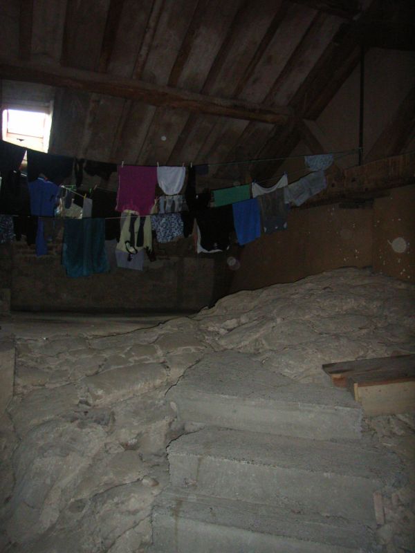 RIMG0503.jpg