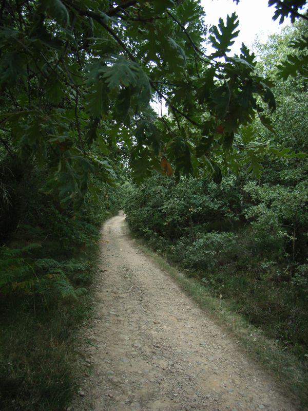 RIMG0535.jpg
