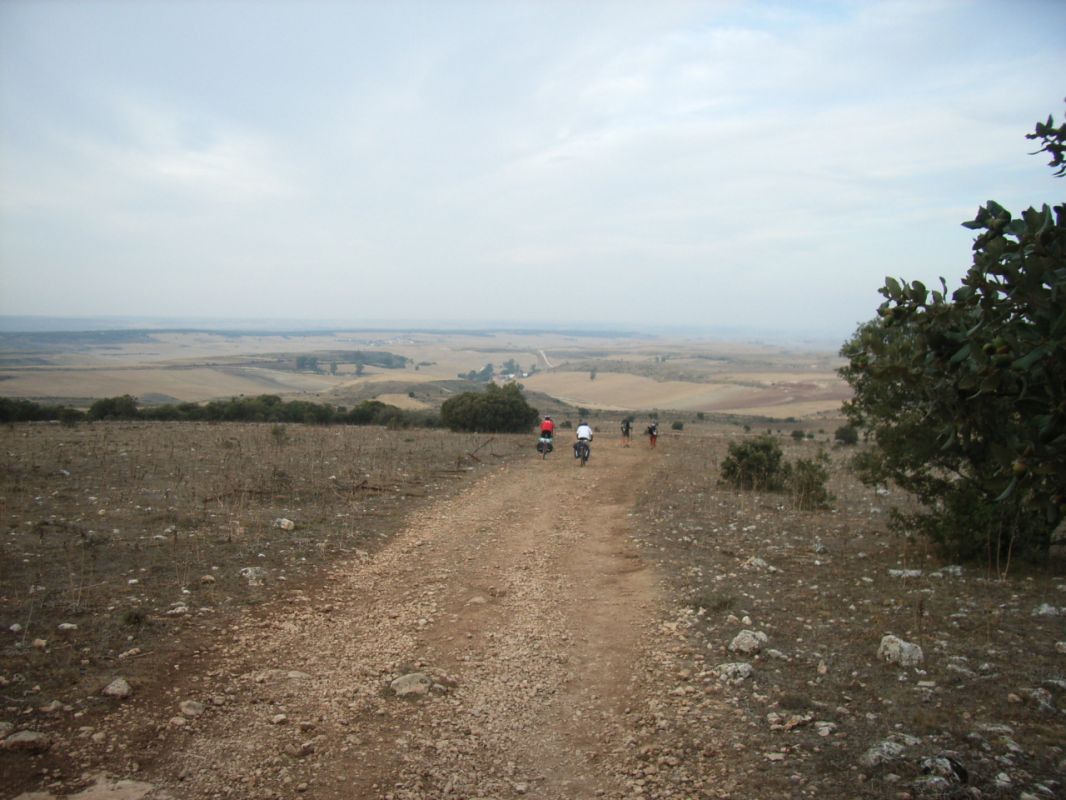 RIMG0594.jpg