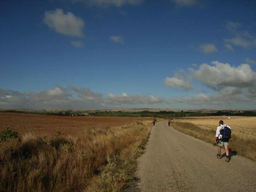 RIMG0731.jpg