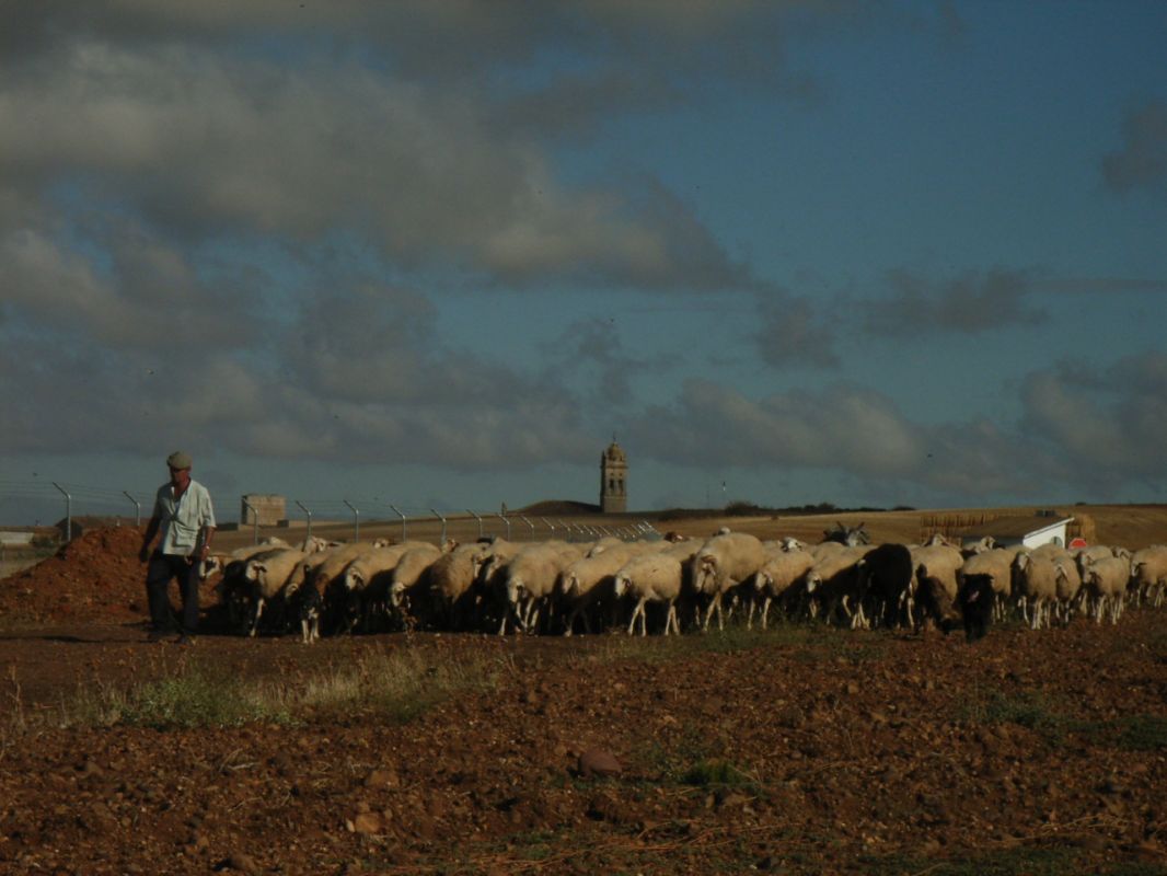 RIMG0732.jpg