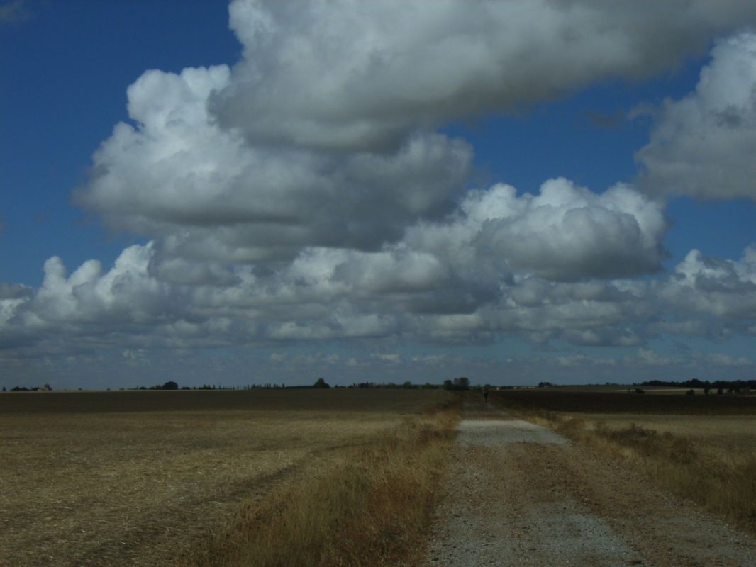 RIMG0753.jpg