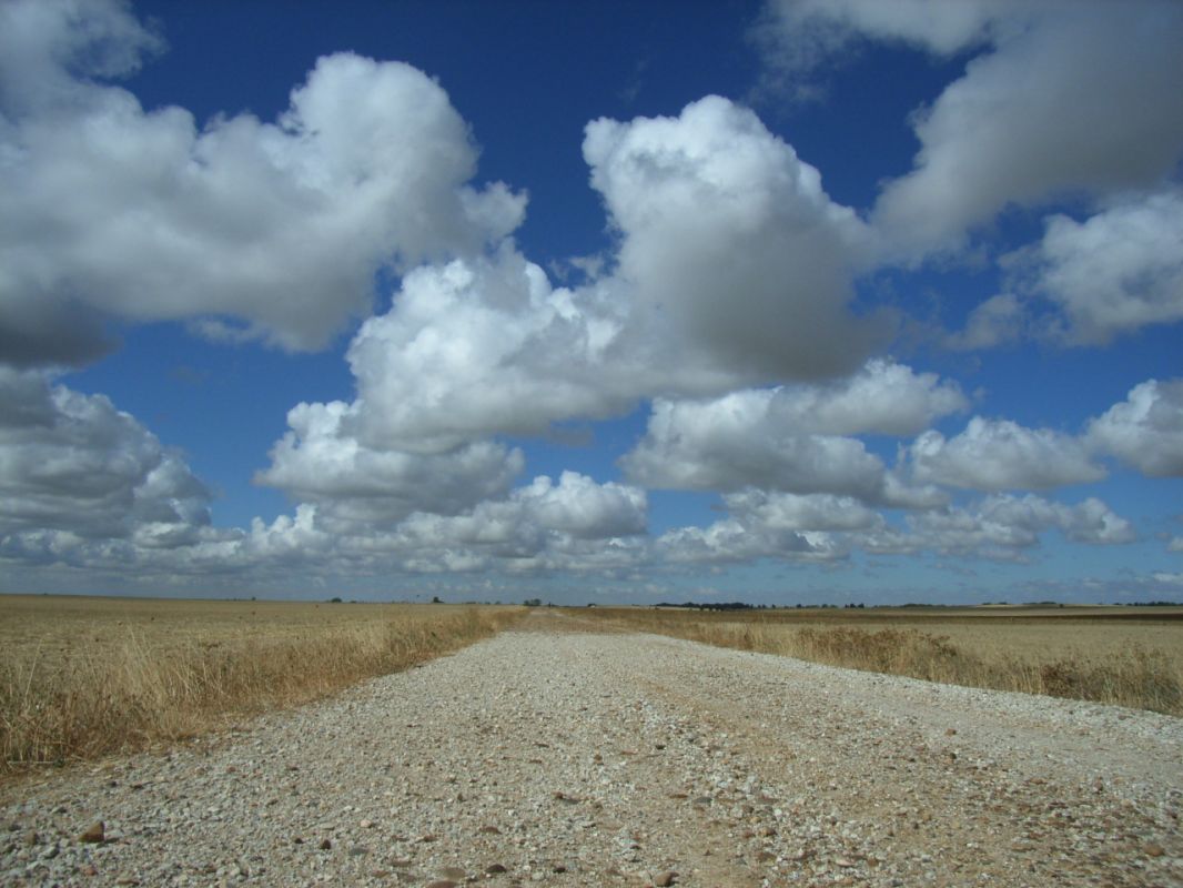 RIMG0754.jpg