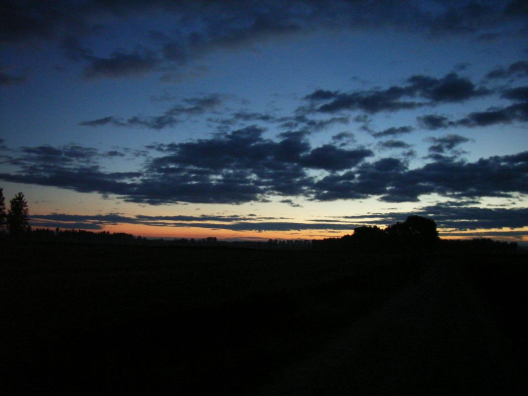 RIMG0788.jpg