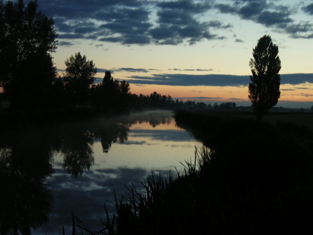 RIMG0791.jpg