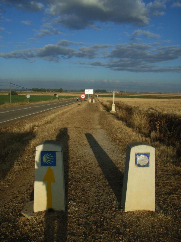 RIMG0802.jpg