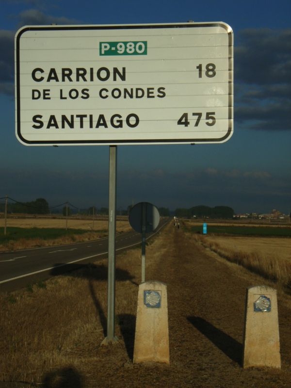 RIMG0805.jpg