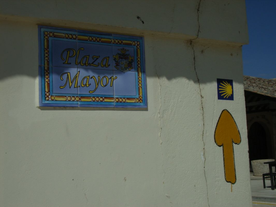 RIMG0817.jpg