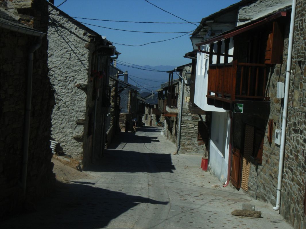 RIMG1136.jpg