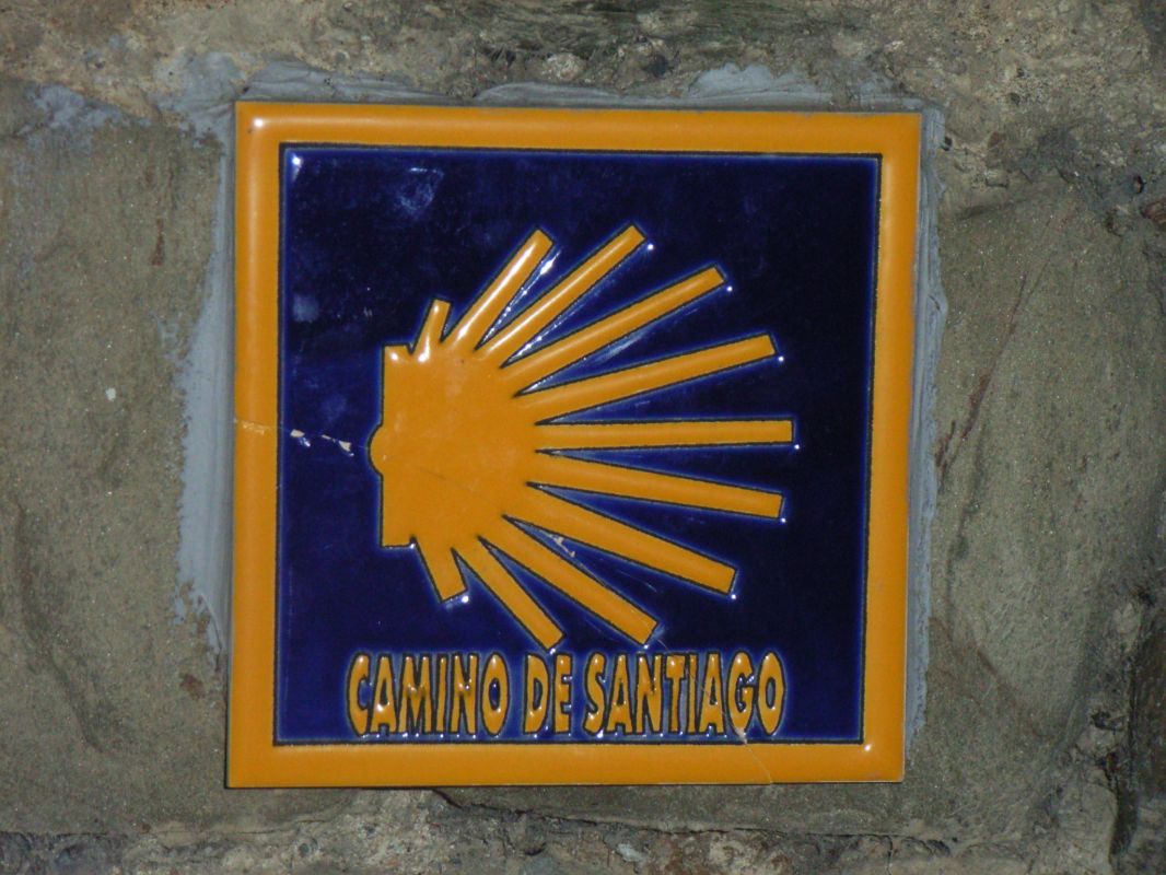 RIMG1174.jpg
