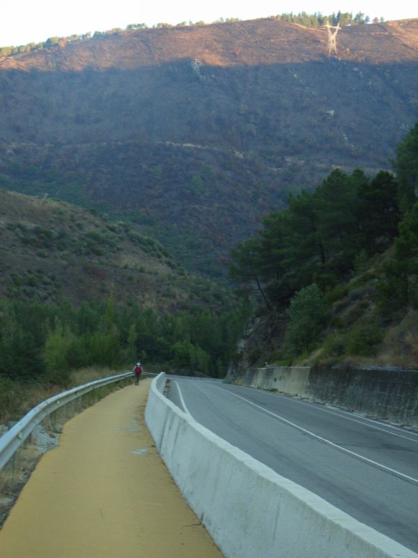 RIMG1183.jpg
