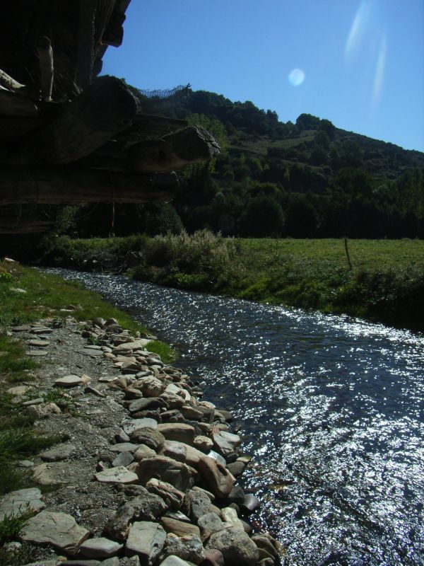RIMG1203.jpg