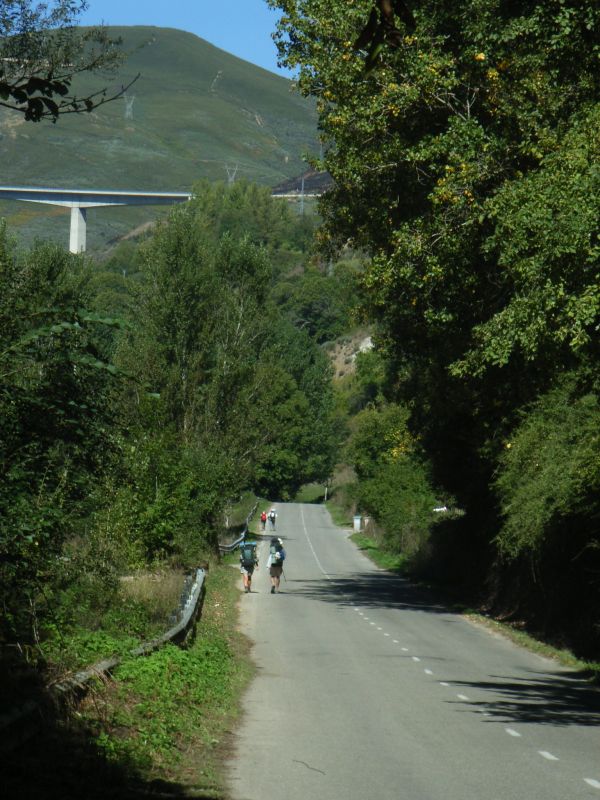 RIMG0006.JPG