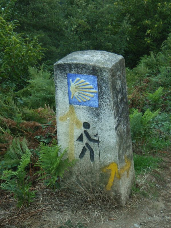 RIMG0021.JPG