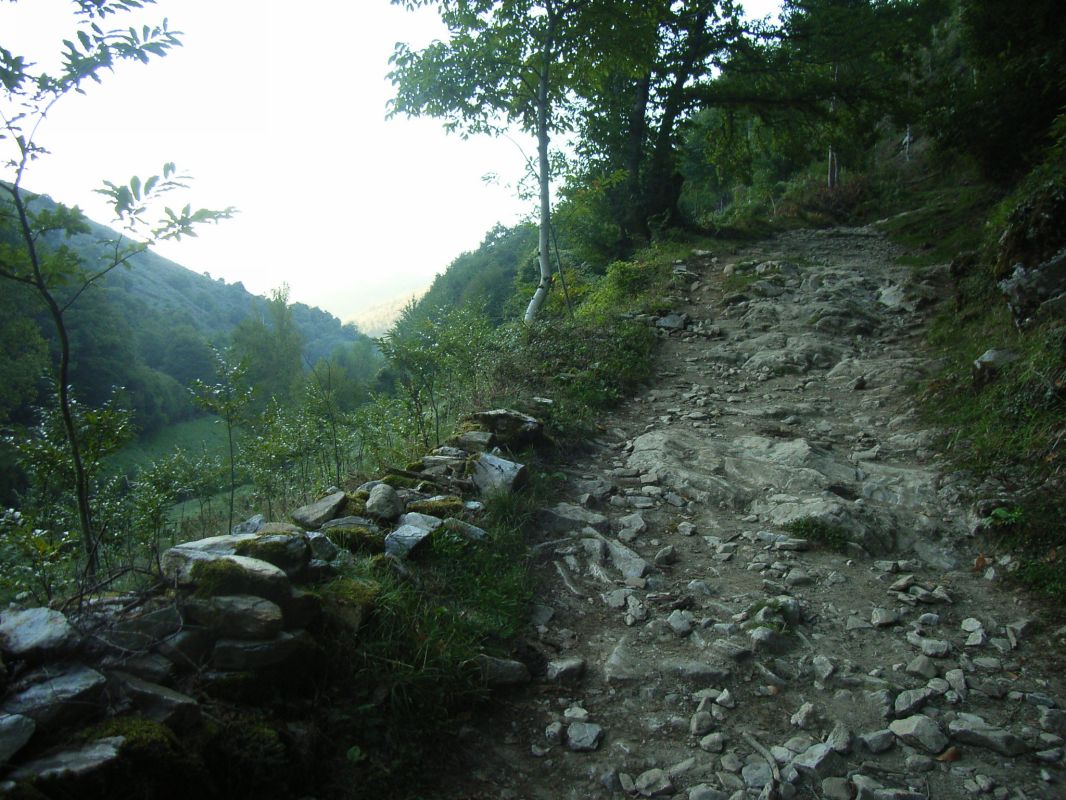 RIMG0024.JPG