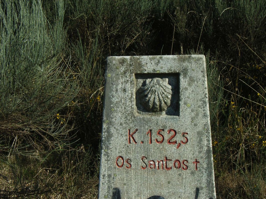 RIMG0057.JPG
