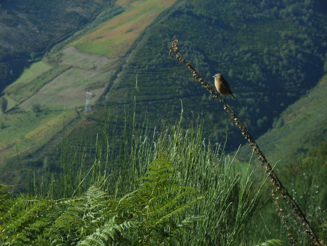 RIMG0065.JPG