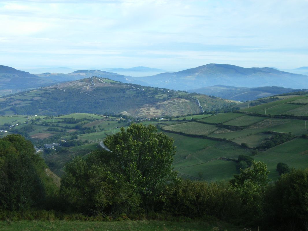 RIMG0134.JPG