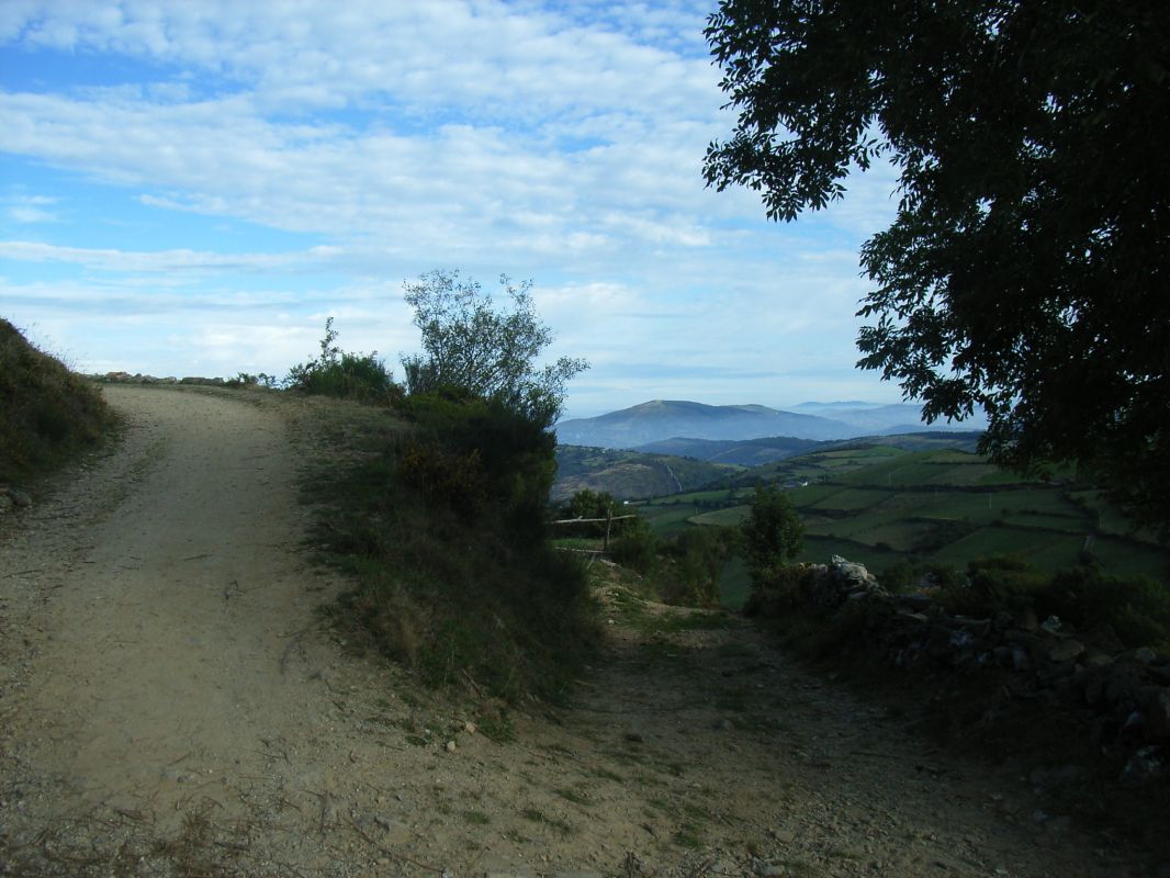 RIMG0139.JPG