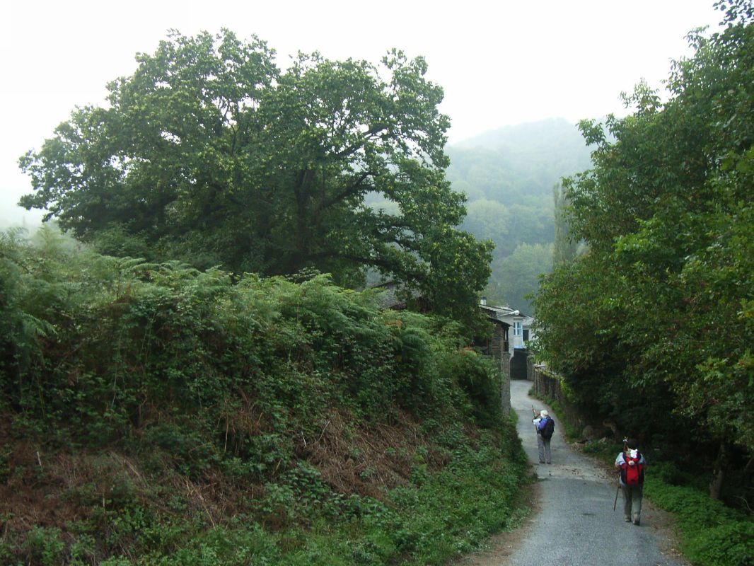 RIMG0185.JPG
