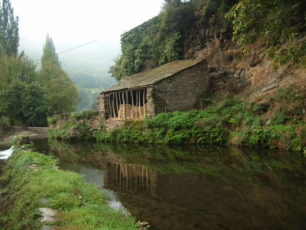 RIMG0191.JPG