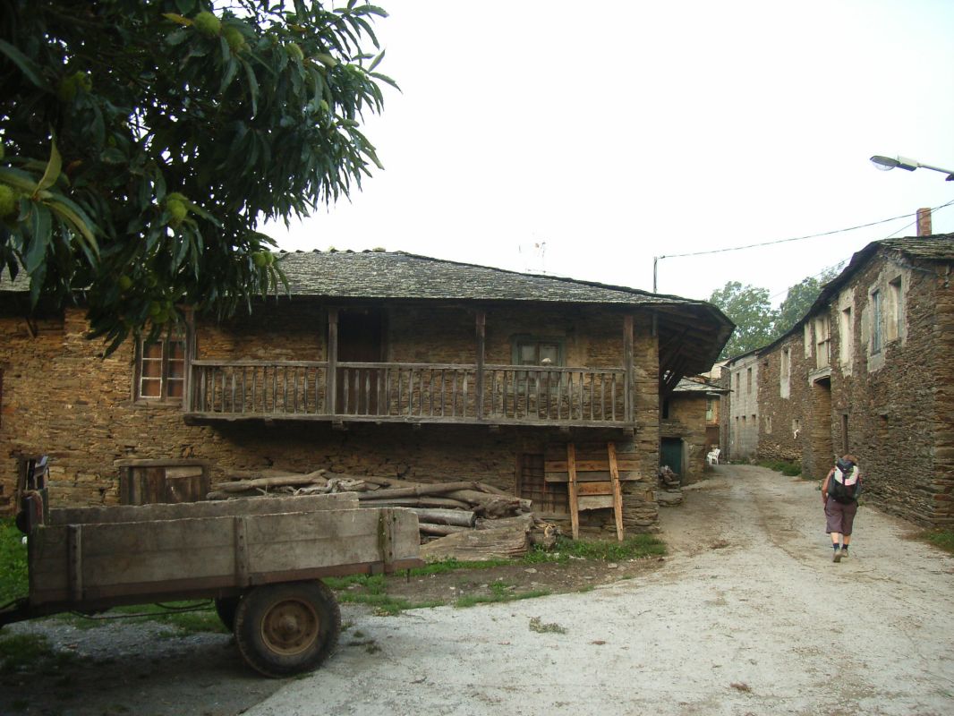 RIMG0195.JPG