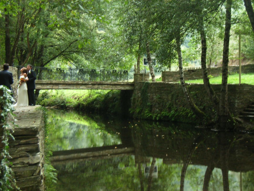 RIMG0265.JPG