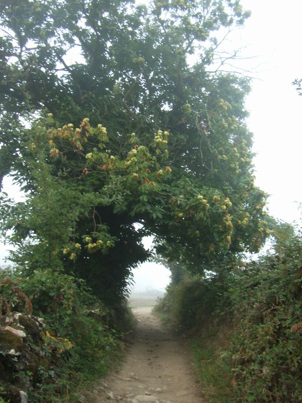 RIMG0328.JPG