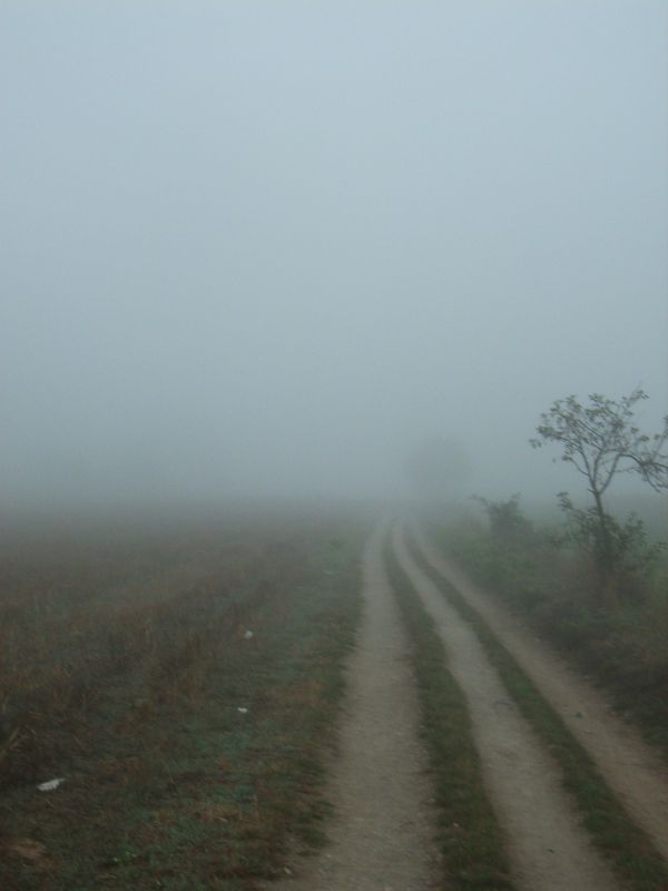 RIMG0329.JPG