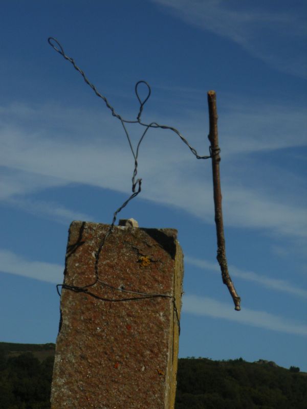 RIMG0344.JPG
