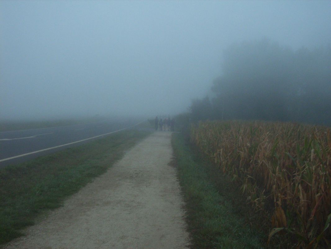 RIMG0430.JPG