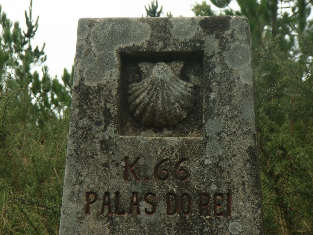 RIMG0464.JPG