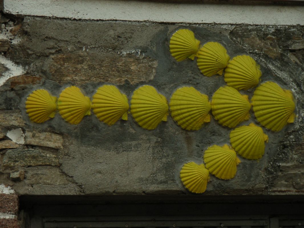 RIMG0507.JPG