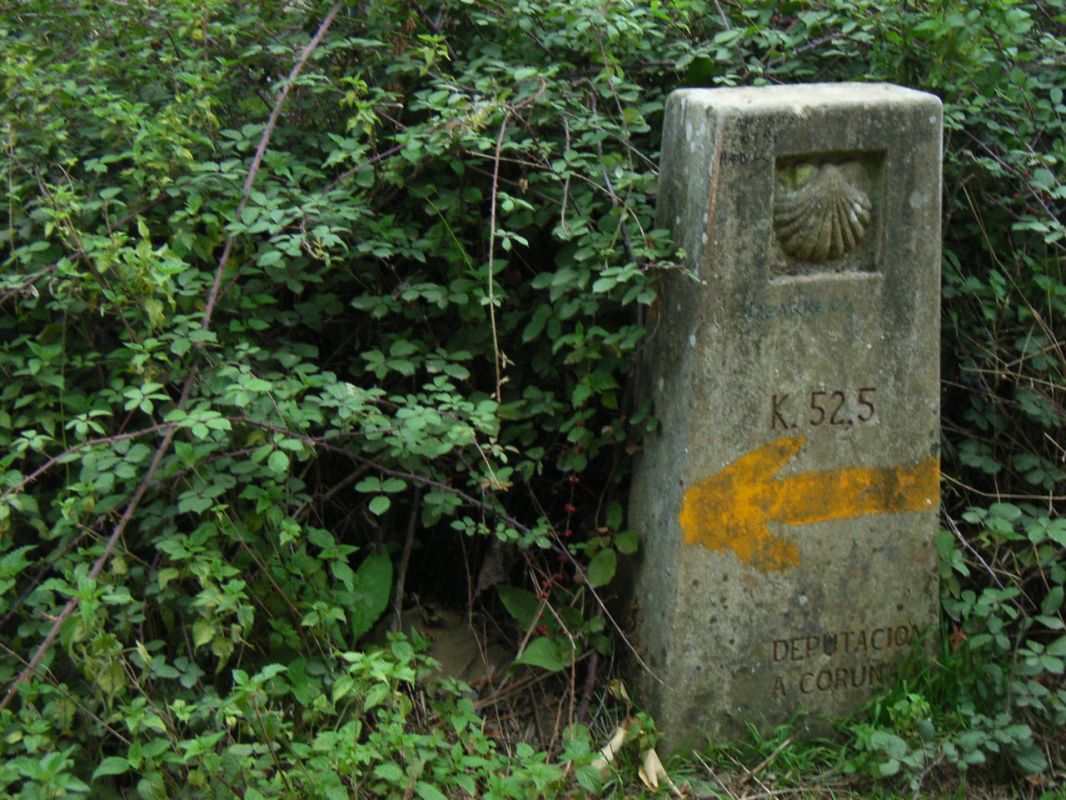 RIMG0539.JPG